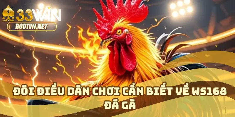Các Hình Thức Đá Gà Phổ Biến