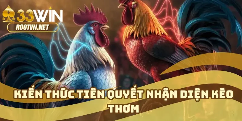 Kiến thức tiên quyết nhận diện kèo thơm